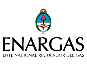 El ENARGAS y el Registro se encargaran de la regulacin de los requisitos mnimos con que debe contar un instalador.