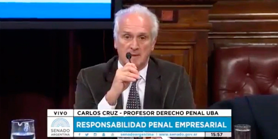 El Dr. Carlos Cruz durante su exposicin en el Senado de la Nacin sobre el proyecto de la ley penal empresaria en agosto de 2017.