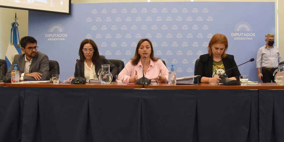 Audiencia de la Comisin de Legislacin General de la Cmara de Diputados del 12 de abril [Foto HCDN]