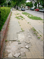 Estado de las veredas del "Barrio Marcel T. de Alvear" en Floresta.