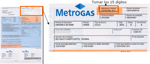 Nmero de referencia / Factura: son los 15 nmeros que figuran en dicho campo.