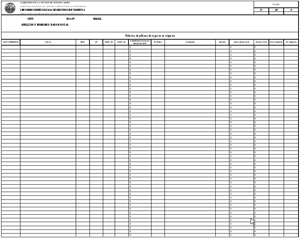 Formulario "Informe sobre plizas de seguros en vigencia".